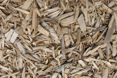 biomass boilers Whitemire